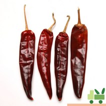 사라상회 건고추 600g (1근), 1개