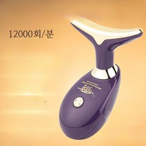 얼굴 마사지 주름개선 팔자주름 목라인 피부 관리 마사지기 리프팅 홈케어, 보라색 12000회 진동
