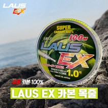 라우스 EX 카본 목줄 100m 바다낚시 낚시줄, 2.5