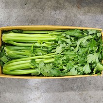 야채24닷컴 샐러리 셀러리 1단 800g, 1개