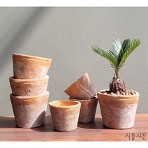 식물시간 cinu pot 2 size 시멘트 빈티지 토분 미니 화분 브릭색 다육 원형 화기, 지름10, X