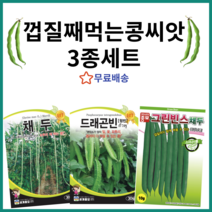 껍질콩 씨앗 3종세트 동남아 채소씨앗 그린빈 날개콩 채두 그린빈스 윙드빈 드레곤빈 종자 씨, 1개