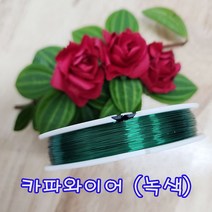 (샤인 몰) 칼라(0.32mm) 카파와이어(국산) 1개 색상선택/공예철사 만들기용/DIY재료/원예 화훼자재 꽃, 녹색