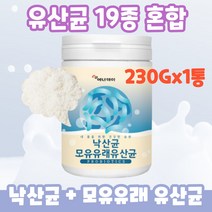 에너데이 모유유래유산균 낙산균 엘아르기닌 230Gx1통 엘아르기닌, 2통(33%할인)