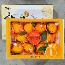 [산지에서바로] 고당도 제주 한라봉 프리미엄 선물세트, [보자기포장] 한라봉 3kg 중과 (11-14과)