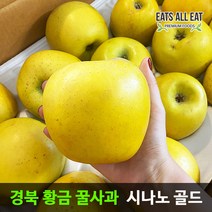 이츠올릿 경북 시나노 골드 황금 꿀사과 5kg (가정용 소과 22-24과) 노란 스위트 사과 청송 밀양 얼음골, 1개