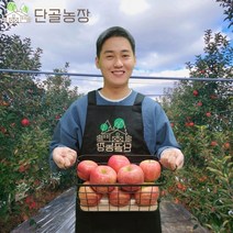 산지직송 경북 새콤달콤 빨간 후지 부사 사과, 4kg내외 / 정품 / 특대과 / 10~12과