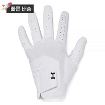 언더아머 Under Armour 남성용 아이소 칠 골프 장갑 화이트 100/화이트 오른손 XXL 399880, Left Hand Small Cadet