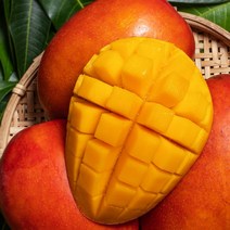 고씨네 특급 애플망고 2KG 망고포도 애플망고자르는법 냉동망고 애플망고후숙 태국망고