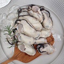 바다애 생굴 중굴모음 1키로소포장/햇생굴/최상품생굴/깐굴, 10kg