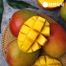 항공직송 고당도 페루 애플망고 4kg 대-특대과8~12과, 없음