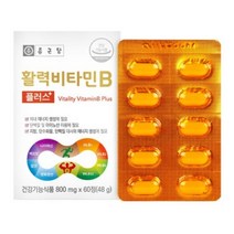 종근당 활력 활성 수용성 비타민B B1 B2 B6 B12 비오틴 엽산 식약처인증 식약청 비타민비군 수험생 온가족 비타민 영양제 남성 여성 비타민비 사은품증정, 2통(4개월분)