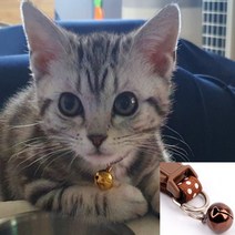 고양이 강아지 방울 묘 목걸이 아기 아깽이 리본 목줄, 제품선택, 레이스