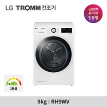 LG전자 트롬 건조기 RH9WV 9kg, DKS (실버 서랍형 키트)