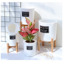 화이트 심플 화분 + 우드 화분 받침대 대 중 소 / DIY 유럽 감성 자동급수 식물심기 내방꾸미기 홈카페 홈스타일링 소품 22022216