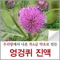 신토불이약초 엉겅퀴 진액 즙 90ml 60포