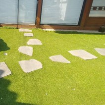 더그린 조경용 옥상 인조잔디 국내생산 200cm x 200cm E-16 20 30, 선택1)E-20mm(200cm x 200cm)