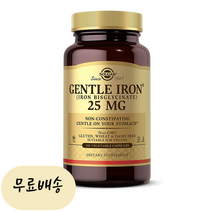 Solgar 솔가 젠틀 아이언 철분 25mg 180베지캡슐, 180개