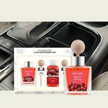 차량용 고급 석고 선물세트 50ml, 산넘어산 쿠팡 레드프룻
