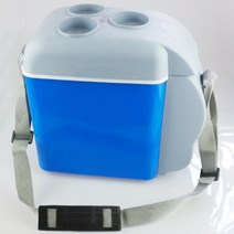 차량용 냉장고 6L 냉온장고 12V 휴대용 전기 DC 아이스박스 캠핑 미니 캠핑용, 6L(차량 가정 겸용)