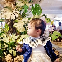 BayKids 무형광 미디엄 롤링, 4) 미디엄 롤링턱받이 체크 블랙