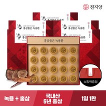 [천지양] 홍삼품은 녹용환 20환 x 5박스(총 100환)+쇼핑백, 단품, 단품