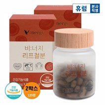 비너지 리프철분 2박스 임산부 철분제 영양제 어린이 임신 축하 선물, 단품, 단품