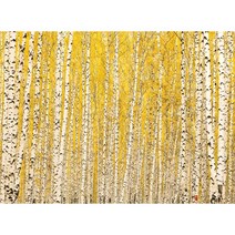 2000피스 풍경 직소퍼즐 노랗게 물든 자작나무 숲의 가을 미니조각 PK2000-M3230, 단품, 단품