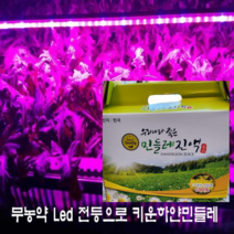 흰민들레 엉겅퀴즙, 150팩