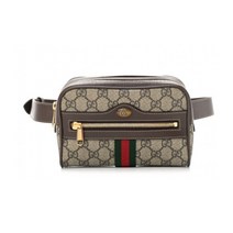 구찌 GG 수프림 오피디아 힙색 벨트백