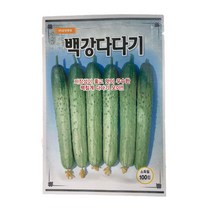 백강다다기 오이 씨앗 100립 백침계 다다기 오이 종자