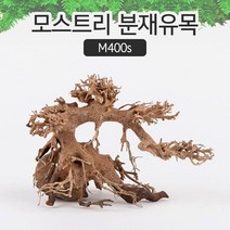 MDG2577 모스트리 분재유목 M400s 모스 활착 수족관 레이아웃 수조 (한강수족관/한강아쿠아/수족관용품/한라펫)