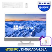 삼성전자 올인원 일체형 PC 프로스트 화이트 DM530ADA-L58A 한컴오피스 증정 사무용 데스크탑, RAM 8GB + SSD 256GB