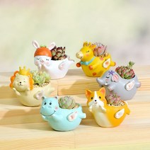 다육이화분 리톱스 아악무 듀가르손 만손초 트리옵스 다육이알뜰장터 다유기 G, 3번