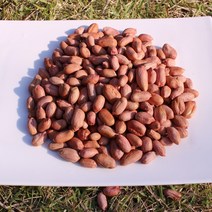 영주 땅콩 햇땅콩 피땅콩 고소한 깐땅콩 1kg, 황가네 깐땅콩 1kg, 1개