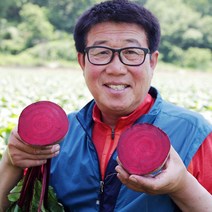 삿갓유통 달고 싱싱한 6시 내고향 햇 레드비트, 10kg, 1박스