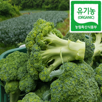 유기농 브로콜리 3송이, 1kg