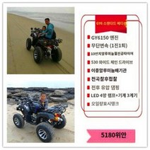 ATV 사륜바이크 황소 4륜 산악 정글 4륜구동 가솔린 전지형 오토매틱 연료 오토바이, 05 GY6무단변속150CC표준판