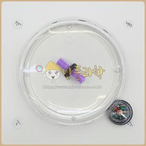 (ART)수수깡 나침반 만들기 (5인용)