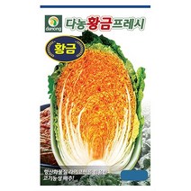[농사마트] 황금배추 300립 황금프레시 가을 김장 배추 씨앗 종자 다농, 1개
