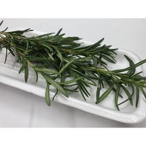 [특급] 로즈마리 100g 500g 허브 생잎, 로즈마리500g