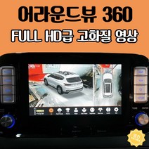 렉서스 LS 360도옴니뷰 어라운드뷰 사이드카메라 설치, 자동차 어라운드뷰 (시공비 별도)