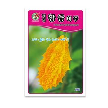 모칸도 제일 황금여주 10립