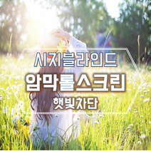 대구암막롤스크린 시지 알파시티 무료견적 가능
