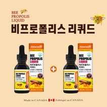 캐나다 직수입 구강 입안 입속 혓바닥 염증 향균 항산화 작용 목이 간질간질 목이물감 목건강 관리 개선 에 좋은 액상 원액 꿀벌 프로폴리스 리퀴드, 30ml, 2개