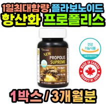 캐나다 먹는 프로폴리스 항산화 활성산소 영양제 x1통 BEEPROPOLIS 부모님 유아용 키즈 어린이 아기 30대