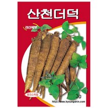 [바보사랑] 산천 더덕 씨앗 (3g) -텃밭 쌈채소 종자 키우기, 상세 설명 참조, 상세 설명 참조