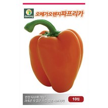 조생 풋호박 씨앗 30립 - 호박씨앗 조선호박 야채씨앗 채소씨앗 채소재배 종묘 종자 베란다 텃밭 씨 씨앗 오이 호박 방울토마토 수박 참, 24_다농_오메가 오렌지파프리카(10립)