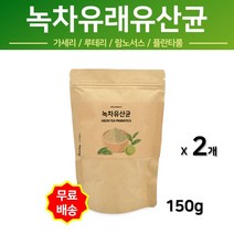 에너데이 녹차유산균 녹차유래 추출물 포스트바이오틱스 유산균 분말 가루 비오틴 엽산 가세리 루테리 플란타룸 람노서스 김치유산균 장내미생물 면역력 장건강, 2개, 150g