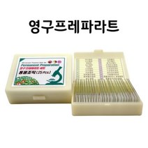 영구 프레파라트 동물조직(25pcs)